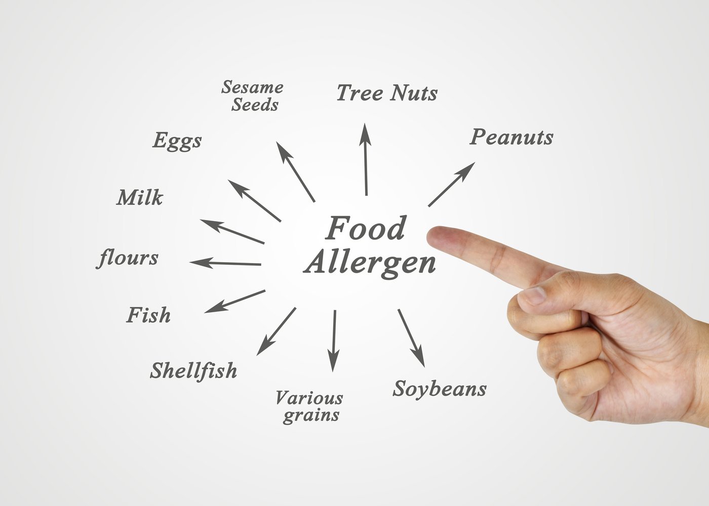 A comprehensive list of common food allergens, including nuts, dairy, gluten, soy, and shellfish