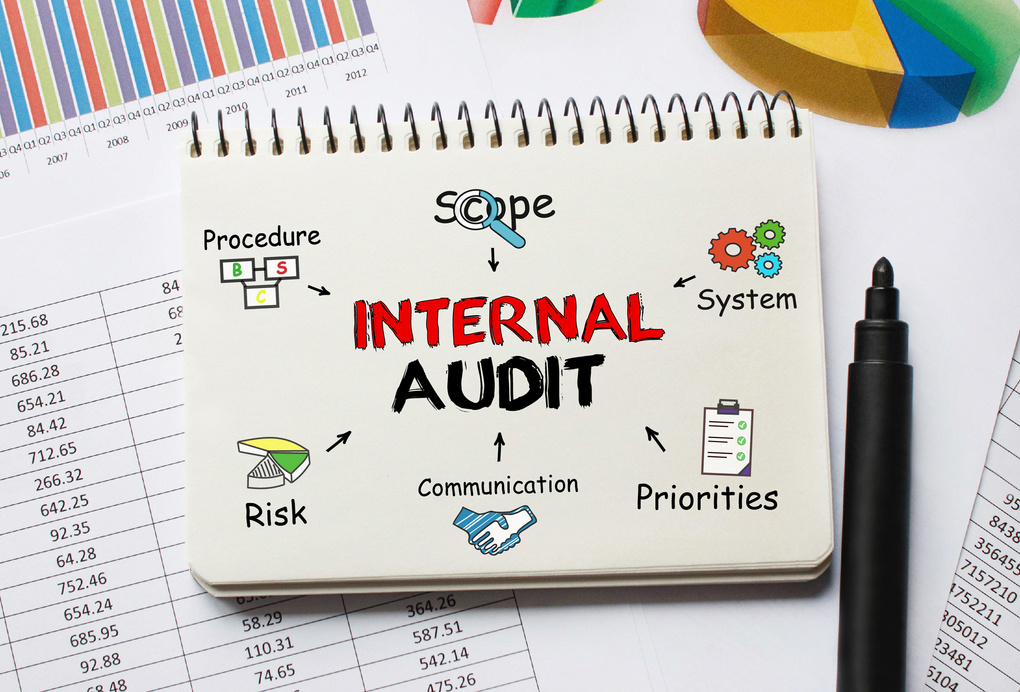 what is an internal audit?