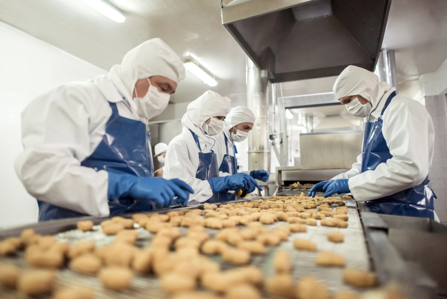 a group of people working in an factory / industrial kitchen