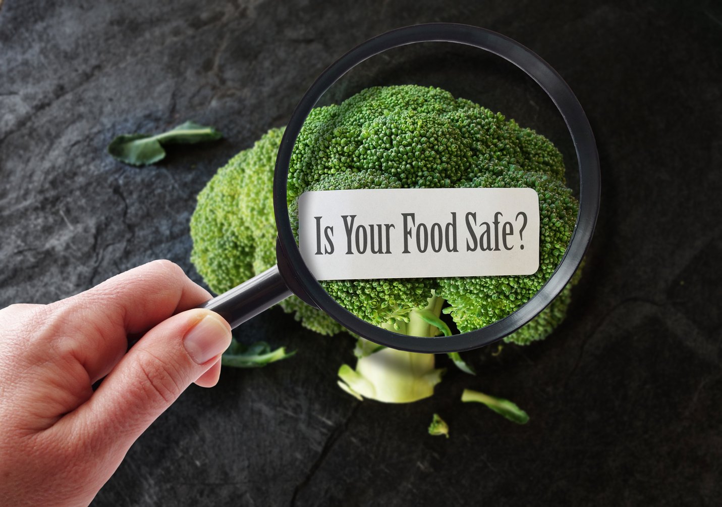 is your food safe? is it safe from contamination? is it safe for human consumption?